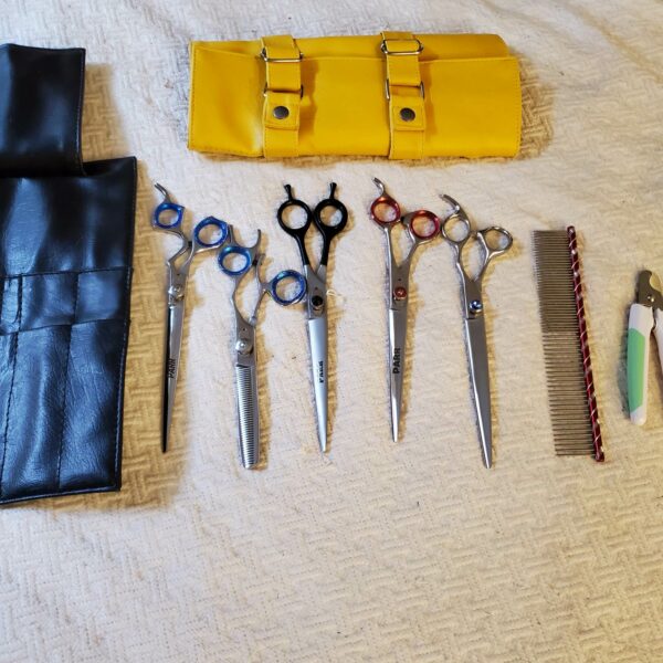 Groomers Leather Shear Case