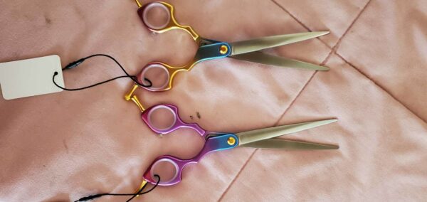 2 pcs set 6.5 inch Asian Fusion - Image 2