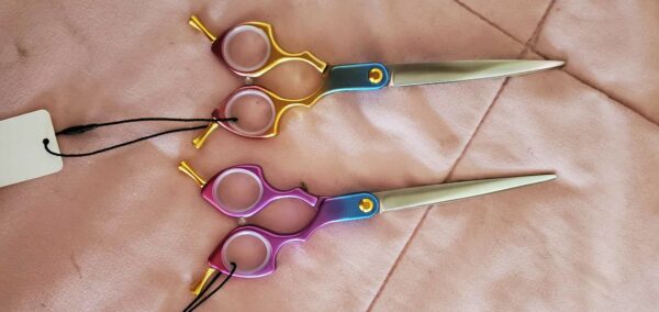 2 pcs set 6.5 inch Asian Fusion