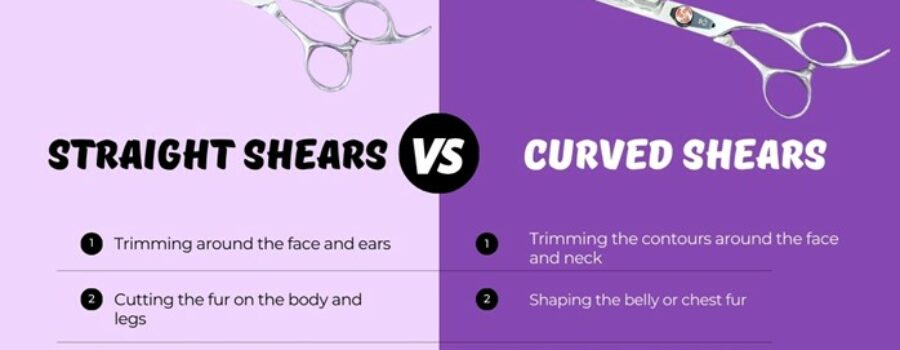 Difference Between Straight and Curved Shears