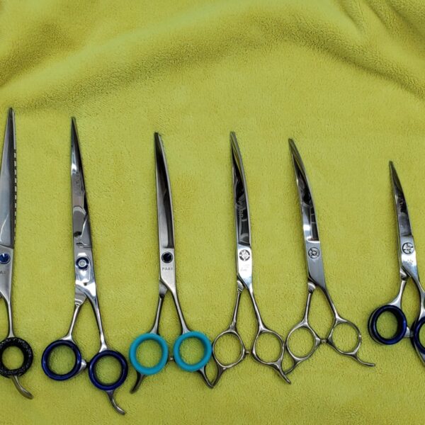 Jacqueline 5 Shears